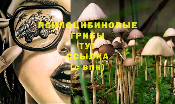 хмурый Алзамай