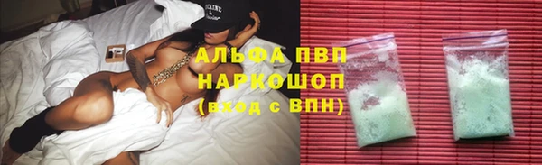 хмурый Алзамай