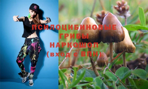 эйфоретик Алексин