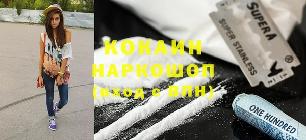 хмурый Алзамай
